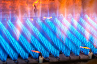 Torrin gas fired boilers